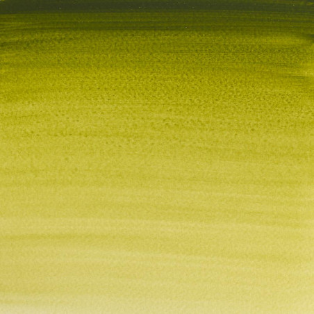 Aquarelle Professionnelle Extra-Fine - 1/2 Godet - Vert Olive - Winsor Et Newton | Surdiscount