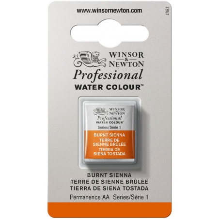 Aquarelle Professionnelle Extra-Fine - 1/2 Godet - Terre De Sienne Brûlée - Winsor Et Newton pas cher