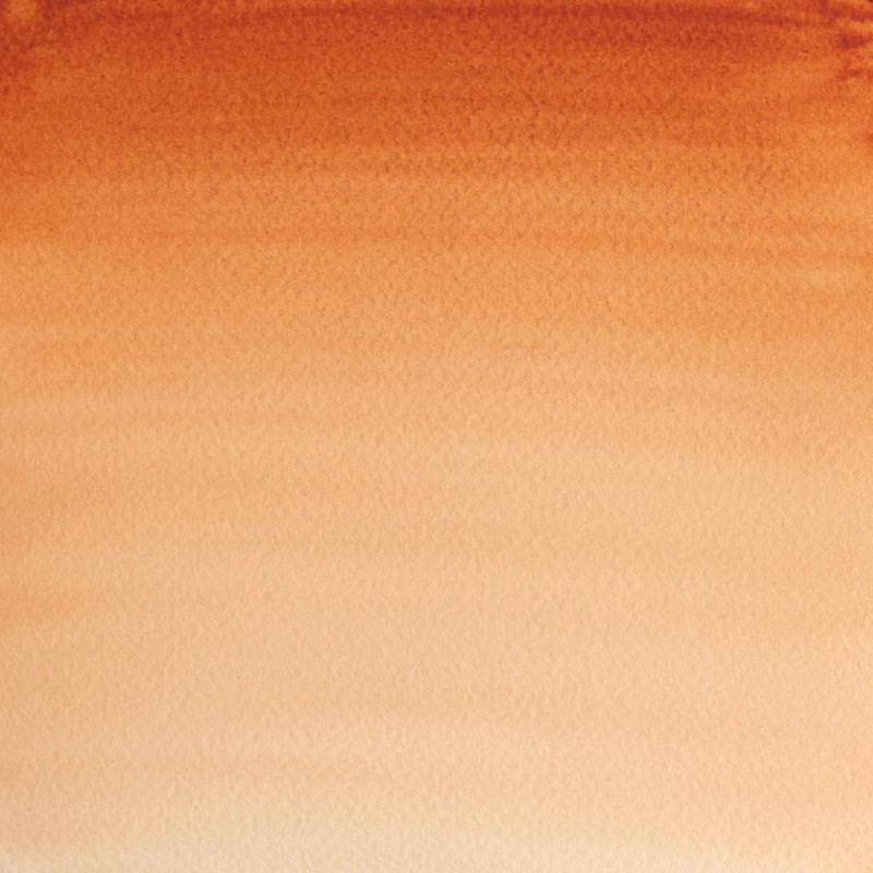 tube-aquarelle-professionnelle-extra-fine-14ml-winsor-et-newton-terre-de-sienne-brule-nuancier
