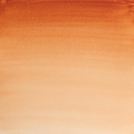 tube-aquarelle-professionnelle-extra-fine-14ml-winsor-et-newton-terre-de-sienne-brule-nuancier