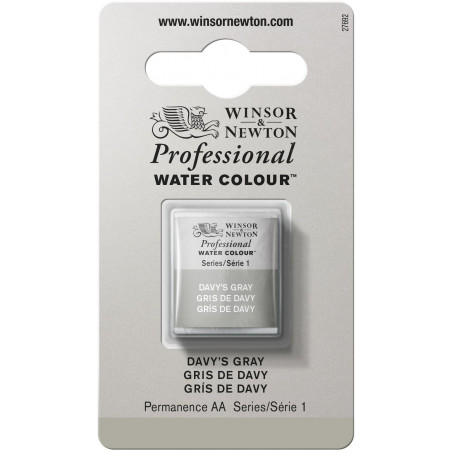 Aquarelle Professionnelle Extra-Fine - 1/2 Godet - Gris Davy - Winsor Et Newton pas cher