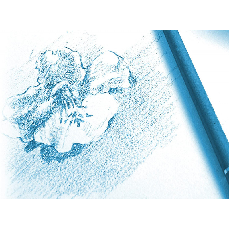 Bloc Dessin A Grain Colle A4 - 125G - 40 Feuilles - Clairefontaine | Surdiscount