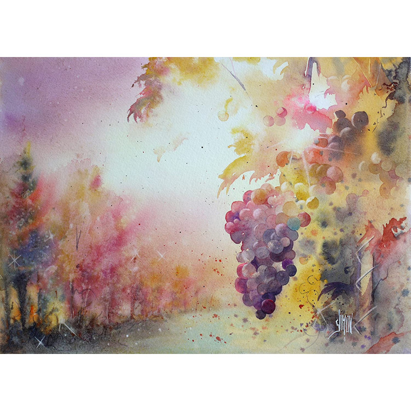 Acheter Bloc Aquarelle Fontaine Grain Fin - 24X30Cm - 300G - Clairefontaine