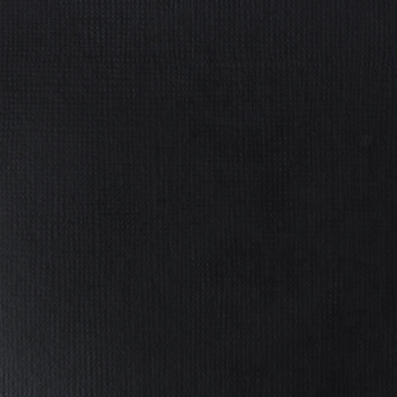 Peinture Acrylique en bidon - noir de mars - Liquitex Basics | Surdiscount