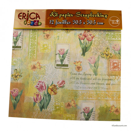 Kit Papier Scrapbooking 12 Feuilles - Erica | Surdiscount