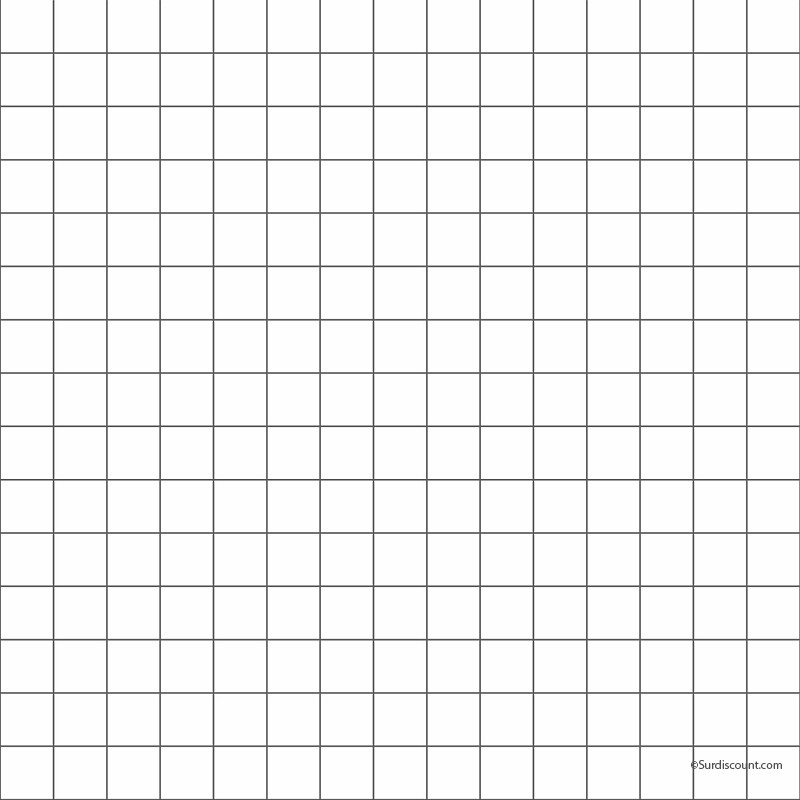 Cahier Spirale 148X210Mm 5X5 100 Pages 70G | Surdiscount