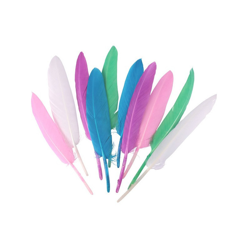 Sachet De 120 Plumes Indiennes Assortis Pastel - Ctop pas cher