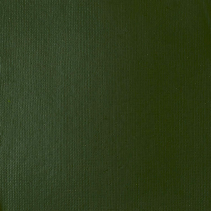 Peinture Acrylique en tube - vert hooker - Liquitex Heavy Body | Surdiscount