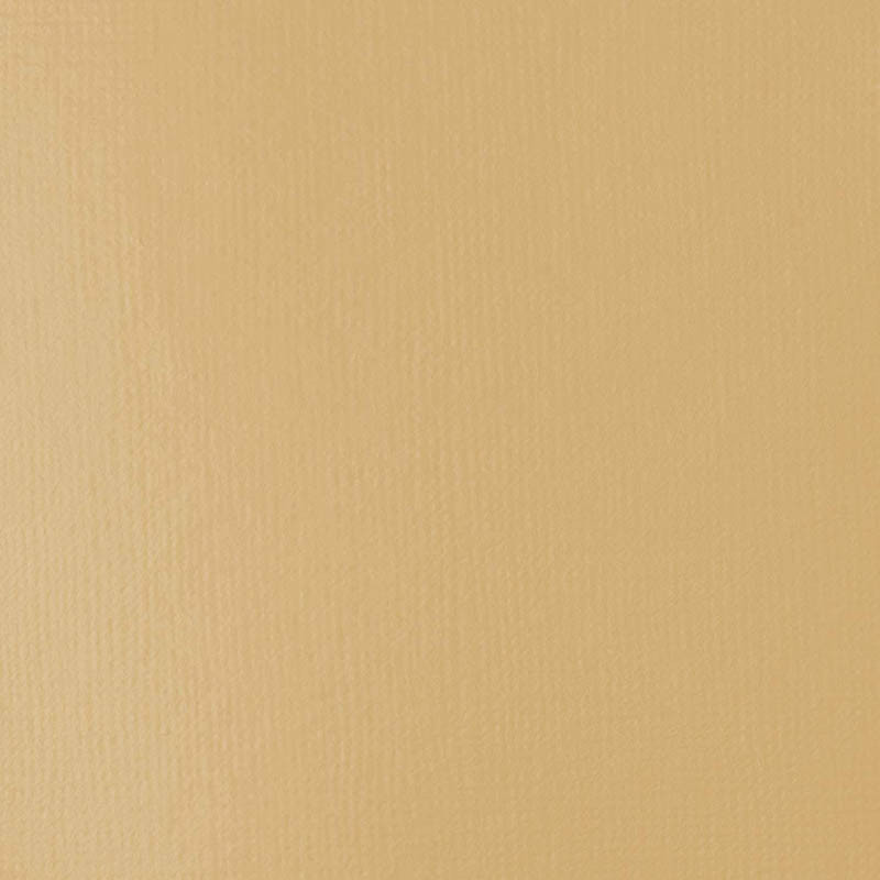 Pot de Peinture Liquitex Acrylique Basics 946ml Titane Ecru