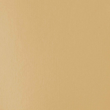 Pot de Peinture Liquitex Acrylique Basics 946ml Titane Ecru