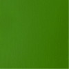 liquitex-vert-clair-permanent-nuancier