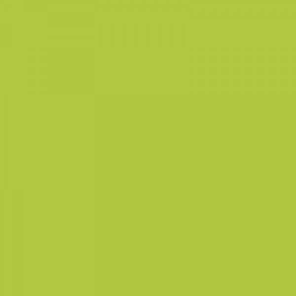 Bombe de peinture Hardcore MTN - Vert pistache | Surdiscount