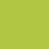 Bombe de peinture Hardcore MTN - Vert pistache | Surdiscount