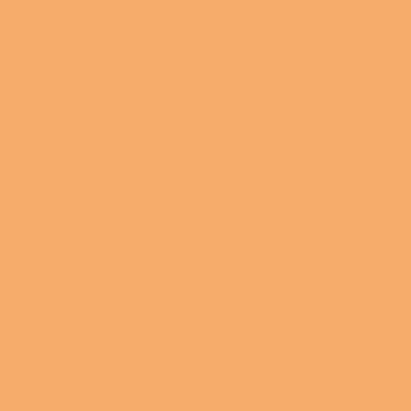 Bombe de peinture Hardcore MTN - Citrouille | Surdiscount