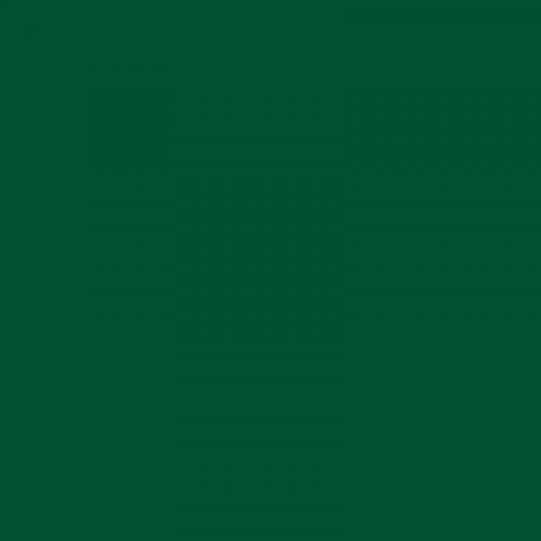 Bombe de peinture Hardcore MTN - Vert persephone | Surdiscount