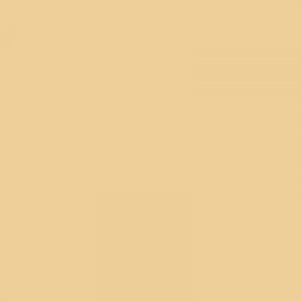Bombe de peinture Hardcore MTN - Marron druide | Surdiscount