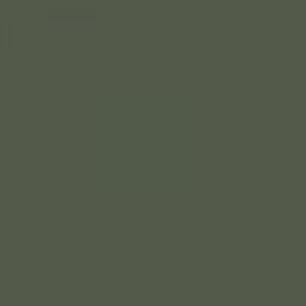 Bombe de peinture Hardcore MTN - Vert Forêt | Surdiscount