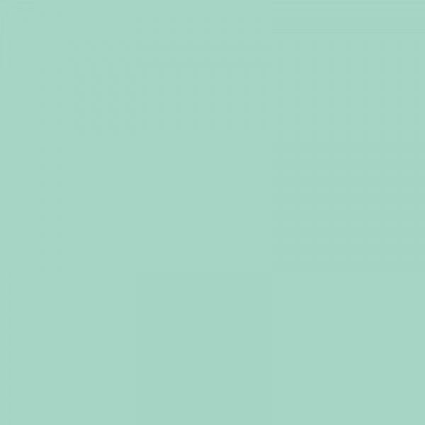 Bombe de peinture Hardcore MTN - Vert potosi | Surdiscount