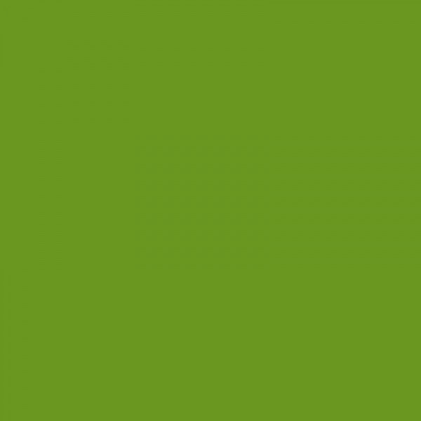 Bombe de peinture Hardcore MTN - Vert vallée | Surdiscount