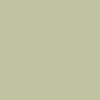 Bombe de peinture MTN water based - vert gris clair | Surdiscount