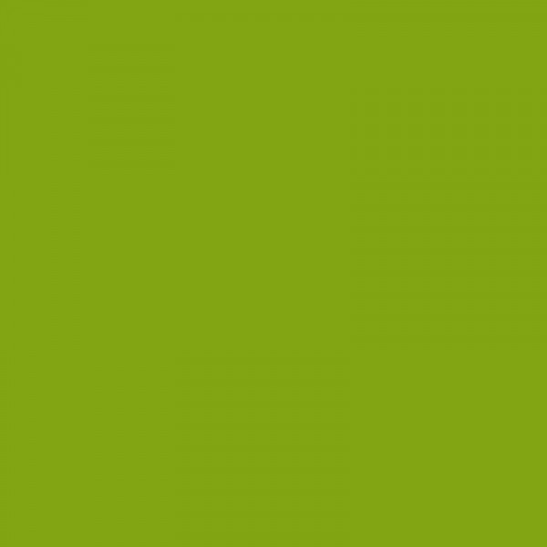 Bombe de peinture mega 600ml - vert guacamole - Mtn | Surdiscount