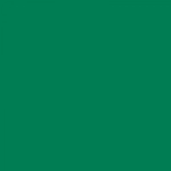 Marqueur Effaçable - Velleda 1751 - Vert - Bic | Surdiscount