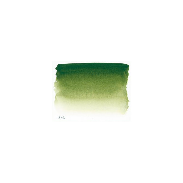 Aquarelle Extra-Fine 1/2 Godet Vert de Vessie Sennelier | Surdiscount