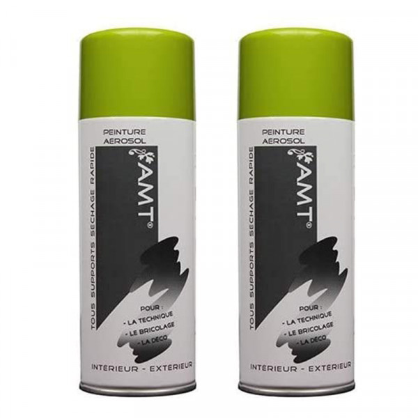 Lot de 2 bombes de peinture - vert anis - AMT pas cher-26245