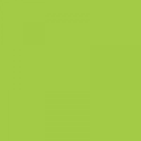 Lot de 2 bombes de peinture - vert anis - AMT | Surdiscount-26246