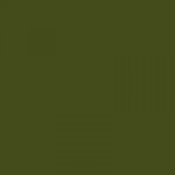 Lot de 2 bombes de peinture - jungle - AMT | Surdiscount