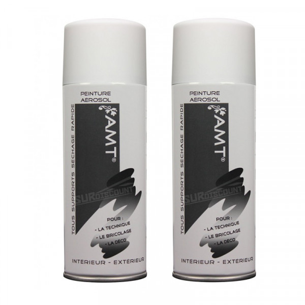 Lot de 2 bombes de peinture - blanc mat - AMT pas cher