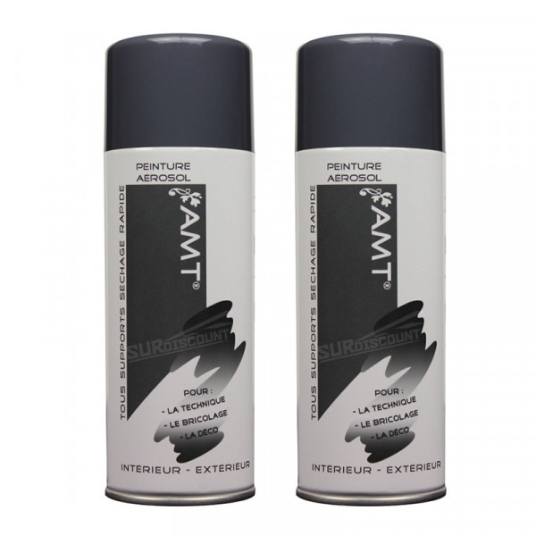 Lot de 2 bombes de peinture - ardoise - AMT pas cher-26391
