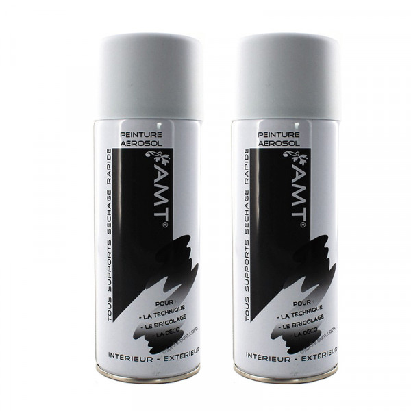 peinture-aerosol-amt-galet-mat