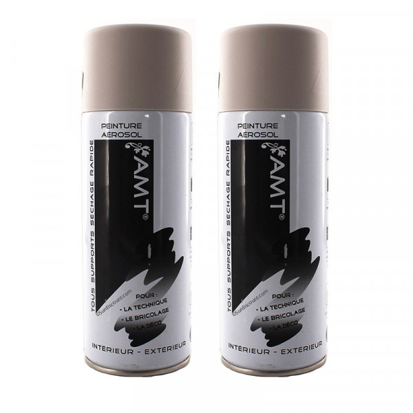 peinture-aerosol-amt-gris-clair-mat