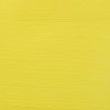 pienture-acrylique-amsterdam-jaune-tit-nick