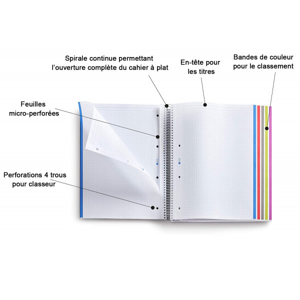 Cahier A4 spirales couverture carton rouge 120 pages petits carreaux Miquelrius | Surdiscount