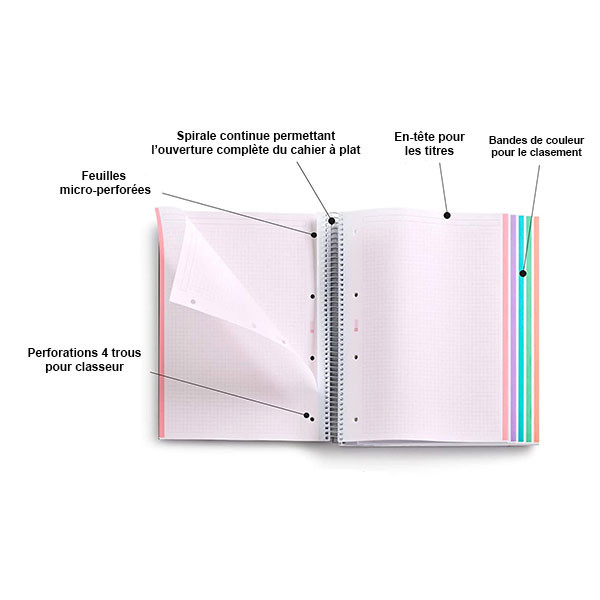 Cahier A4 spirales couverture carton bleu ciel 120 pages petits carreaux Miquelrius | Surdiscount