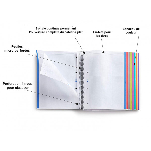 Cahier A4 spirales couverture plastique noir 150 pages petits carreaux Miquelrius | Surdiscount