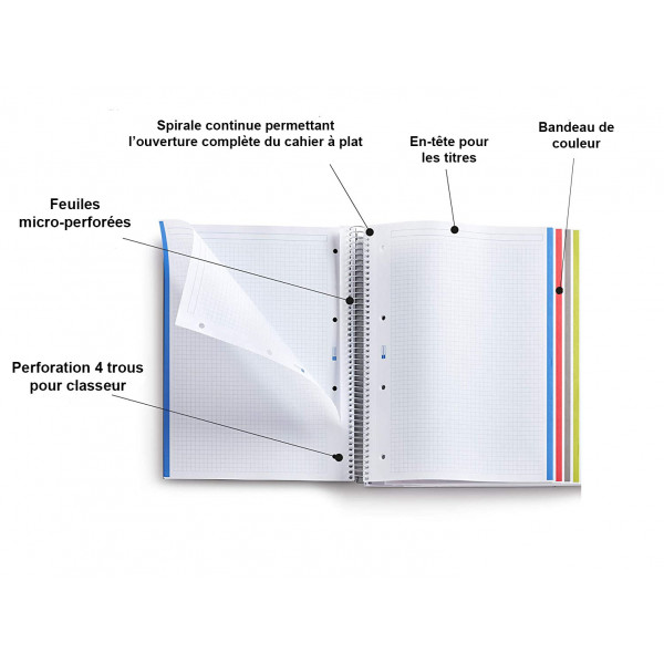Cahier A4 spirales couverture carton noir 160 pages petits carreaux Miquelrius | Surdiscount