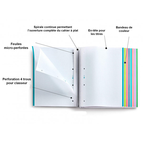 Cahier A4 spirales couverture plastique rose 160 pages petits carreaux Miquelrius | Surdiscount