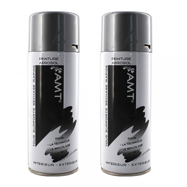 peinture-aerosol-argent-metallise-bombe-de-peinture-amt-tous-supports
