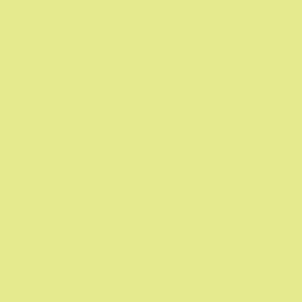 Feutre Promarker Zeste de Lime - Winsor et Newton | Surdiscount