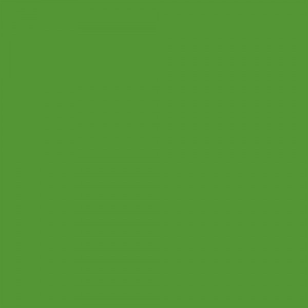 Feutre Promarker Vert Foret - Winsor et Newton | Surdiscount
