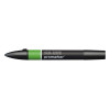 photo-Feutre - Promarker - Vert forêt - G356 - 68 - Winsor et Newton - Dessin - Illustration