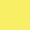 Feutre Promarker Jaune Tulipe - Winsor et Newton | Surdiscount