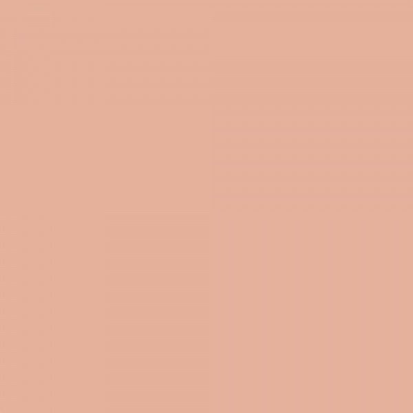 Feutre Promarker Havane - Winsor et Newton | Surdiscount