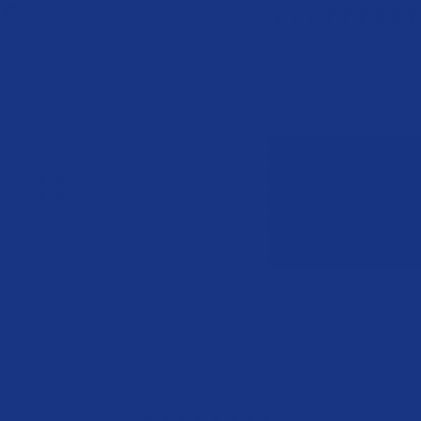 Marqueur Permanent - Marking Pocket - Bleu - Bic | Surdiscount
