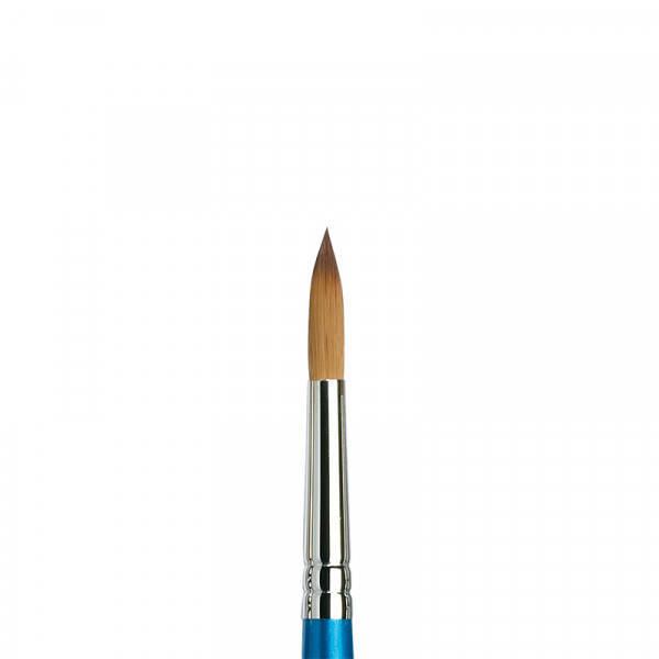 pinceaux-cotman-winsor-&-newton-111-10
