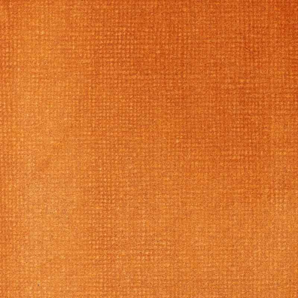 entre-acrilyc-30ml-liquitex-terre-de-sienne-brulee-nuancier