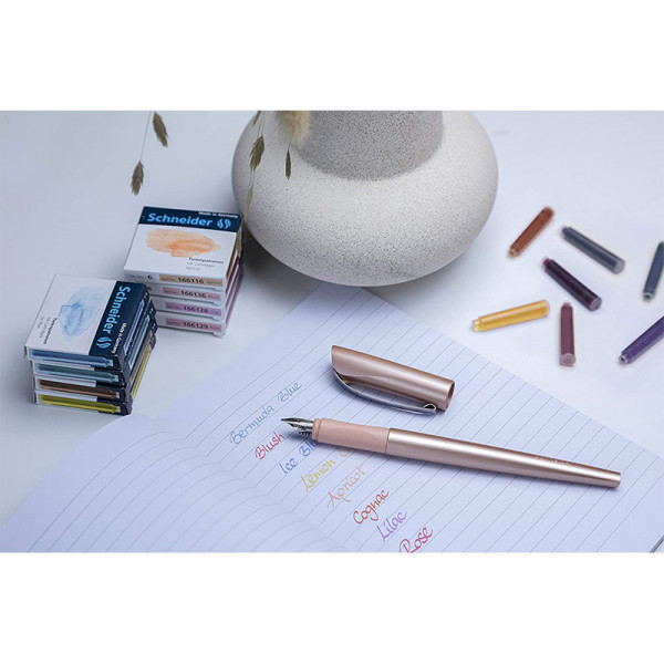 Lot de 6 cartouches d'encre pastel - Bleu glace - Scheinder | à seulement 0,99 €